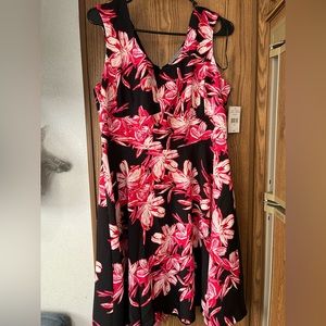 Danny and Nicole dress